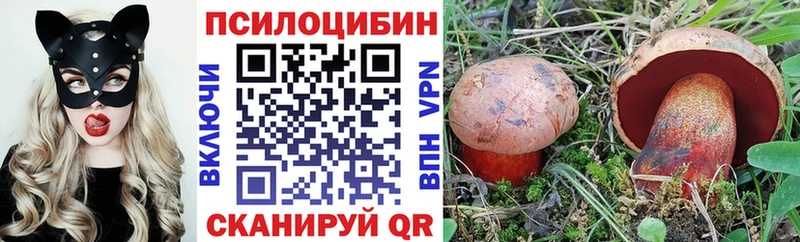 ОМГ ОМГ ссылка  Ялта  Псилоцибиновые грибы Psilocybe  купить  